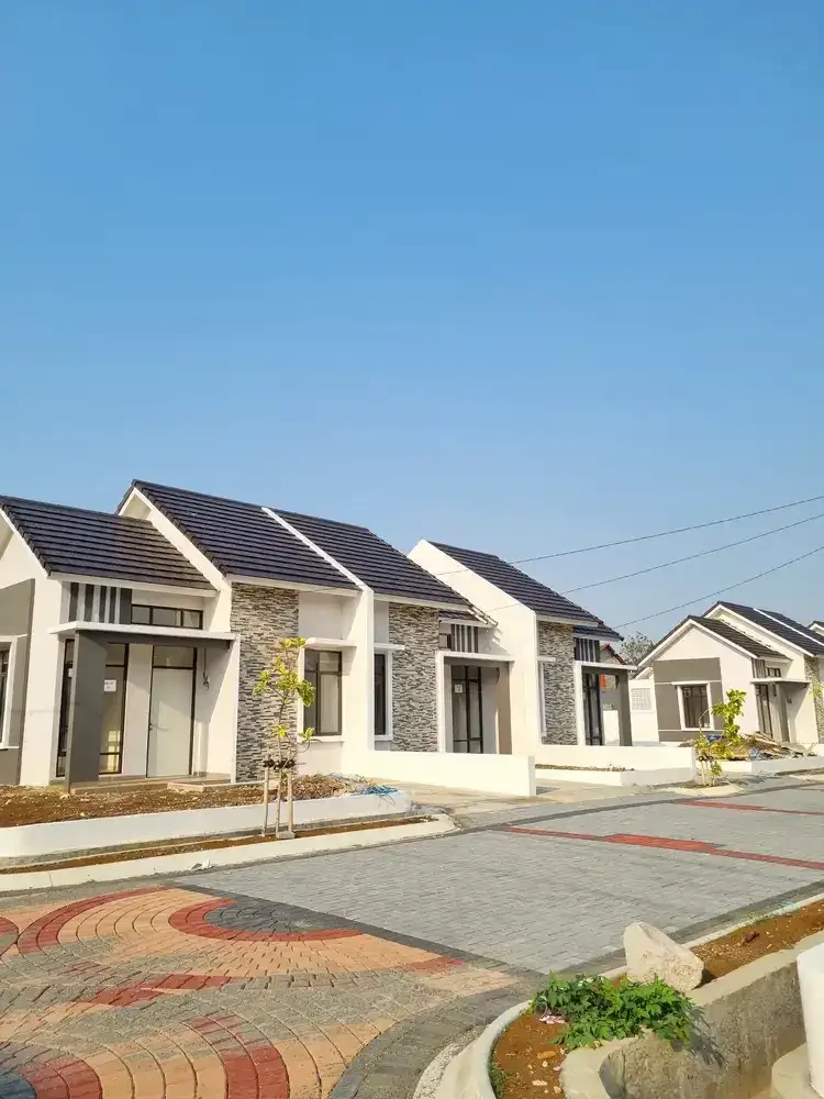 Areca-8